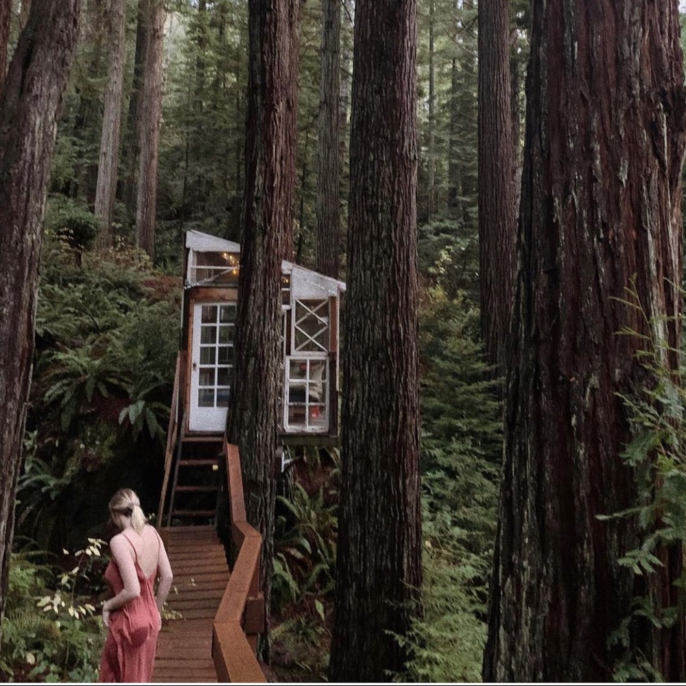 Orange, silk, slip dress